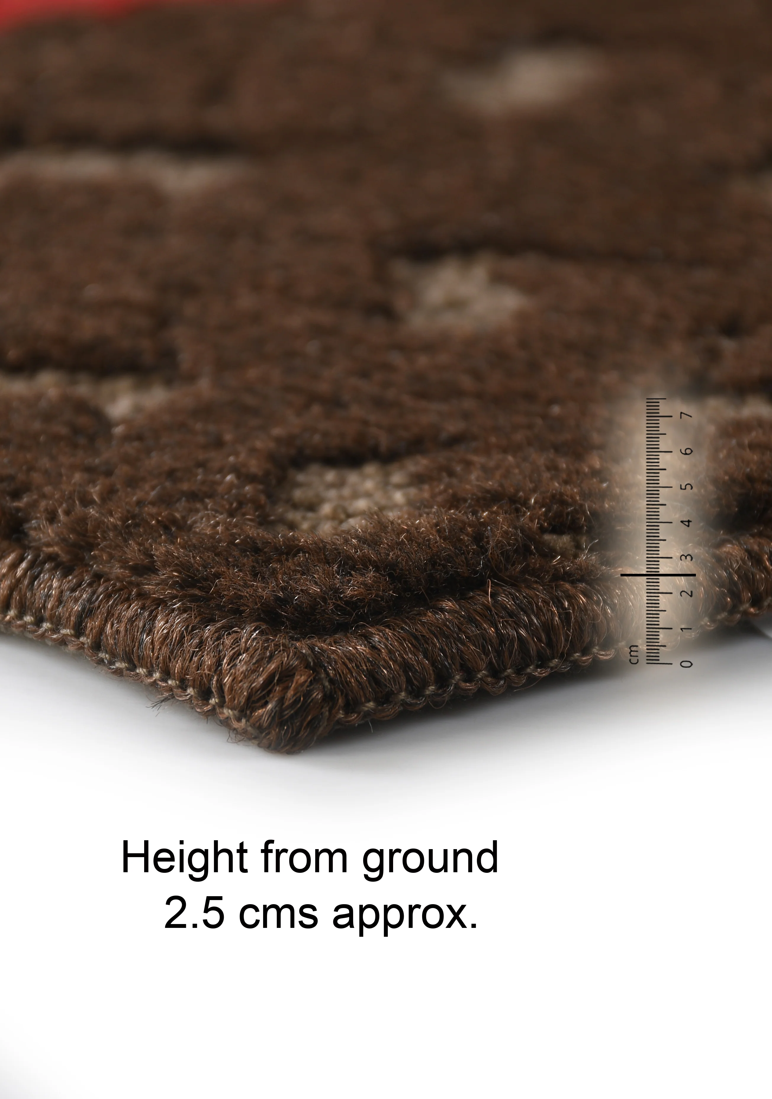 PADUKA Strong Anti-Slip Door Mat – 40x60 cm | Elegant Design with Non-Slip Backing - Image 4