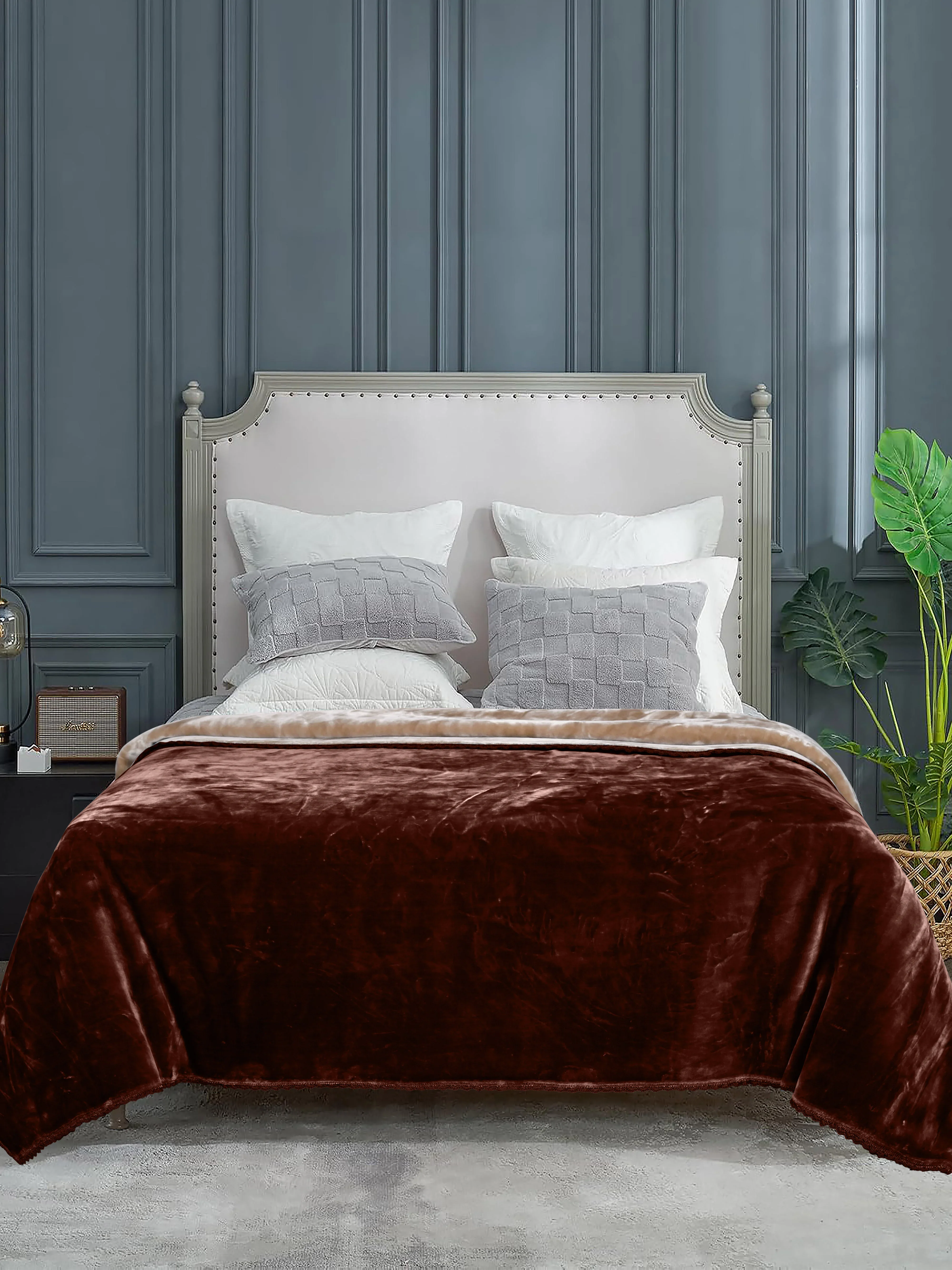 Winter Mink Cloudy Silky Soft Double-Color King Size 2-Layer Blanket with Crochet Lace Edges | Plush & Premium Feel - Image 9