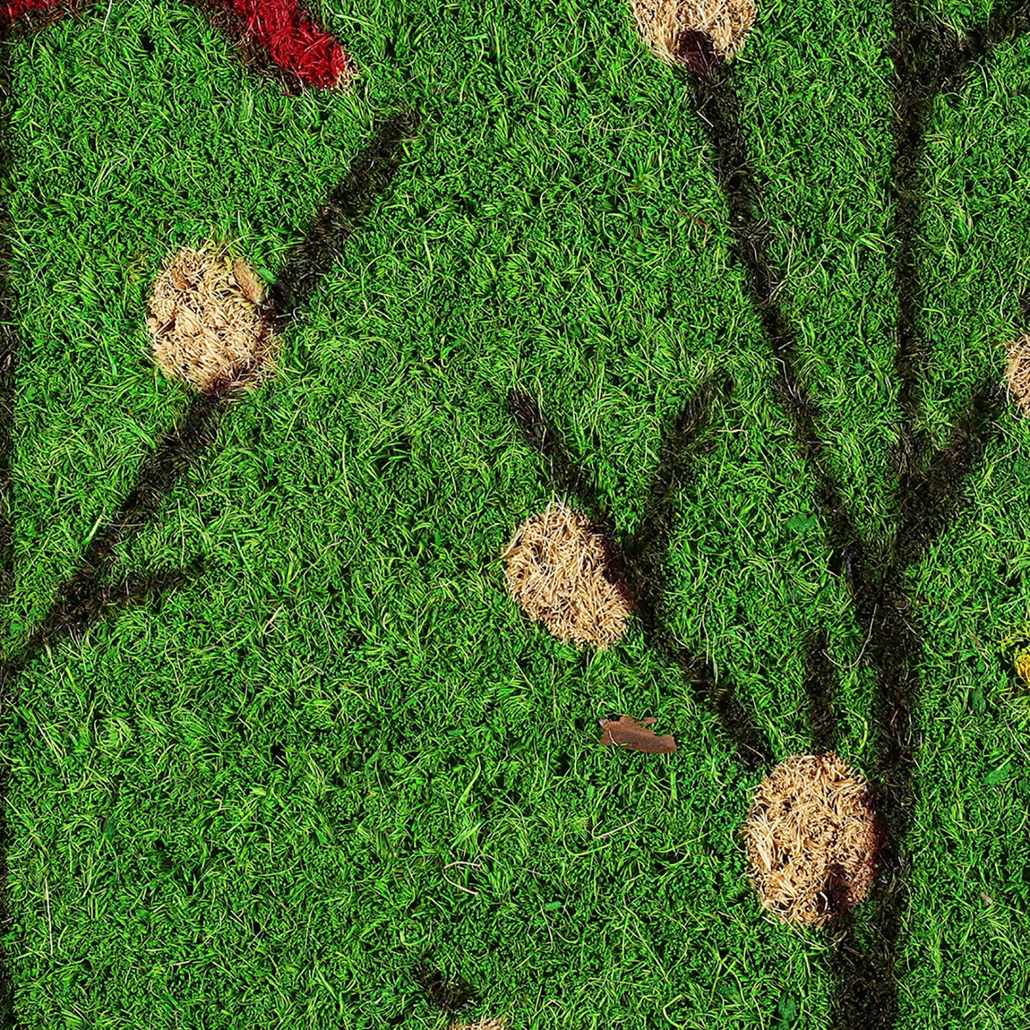 Birds Printed Coir Door Mat – Nature Print & High Durability - Image 4